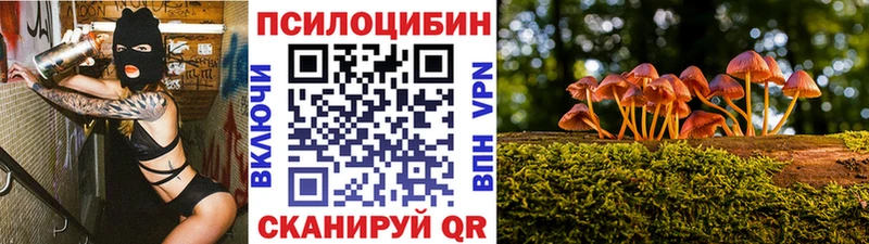 Галлюциногенные грибы Cubensis  даркнет сайт  Курильск 